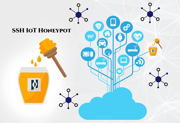 Entwicklung eines SSH IoT Honeypots